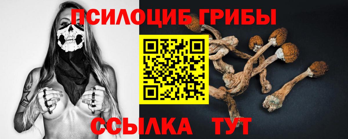 Галлюциногенные грибы GOLDEN TEACHER Уссурийск