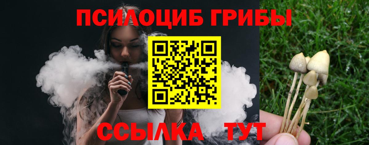 Псилоцибиновые грибы мицелий  где найти   Уссурийск  Вход с VPN 